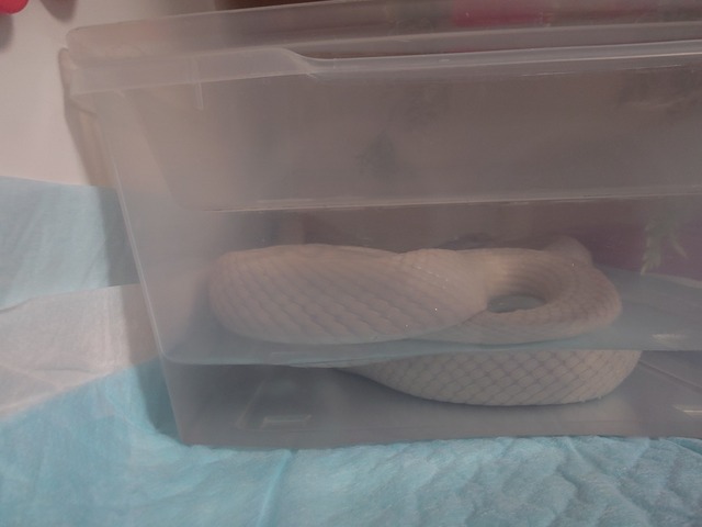 20250402_085849338.JPG