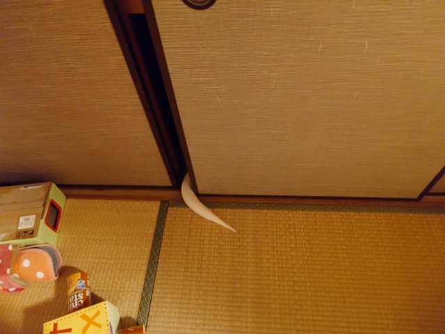20250404_002216019.JPG