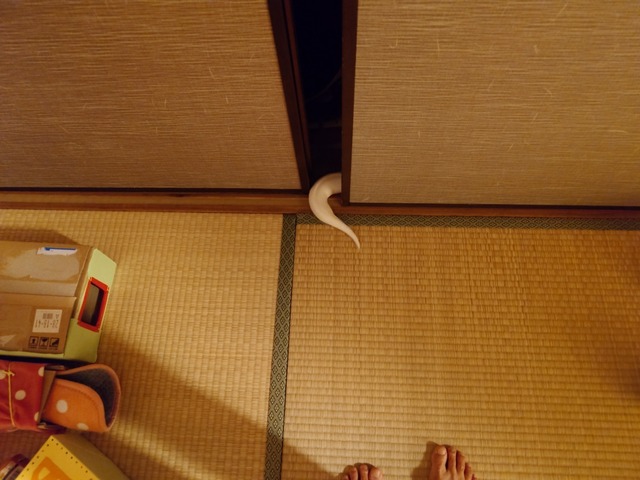 20250415_015112287.JPG