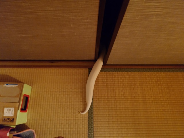 20250419_021806100.JPG