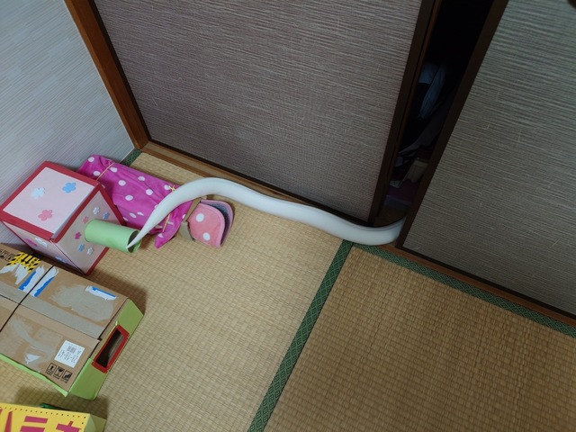 20250517_015905666.JPG