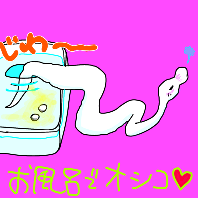 E784A1E9A18C447-9cde3.png