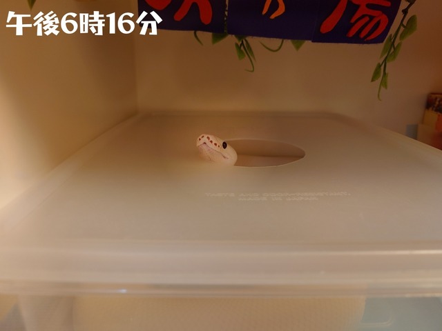 Polish_20250224_181914022.jpg