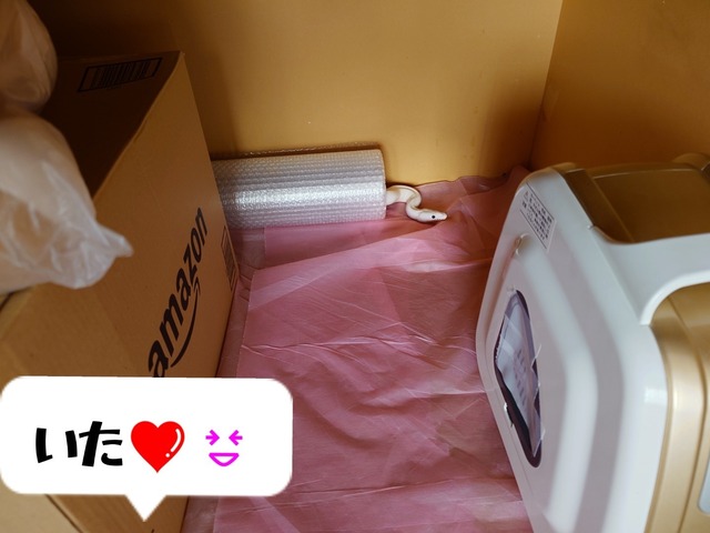 Polish_20250301_081022401.jpg