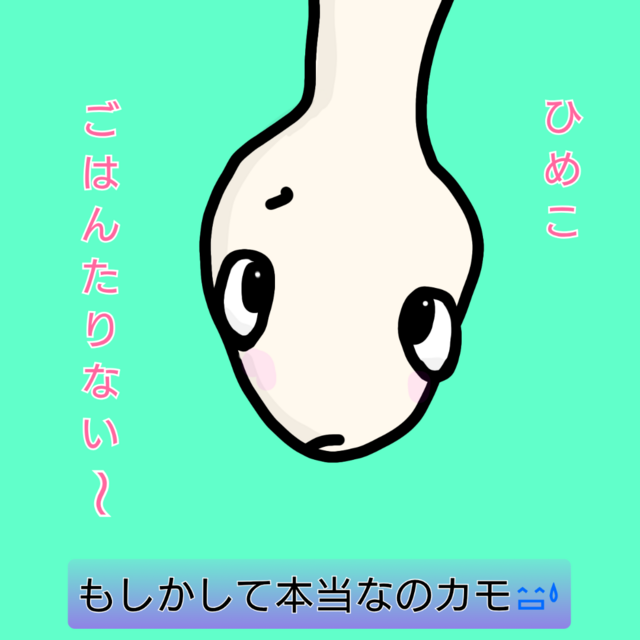 Polish_20250328_111049841.png